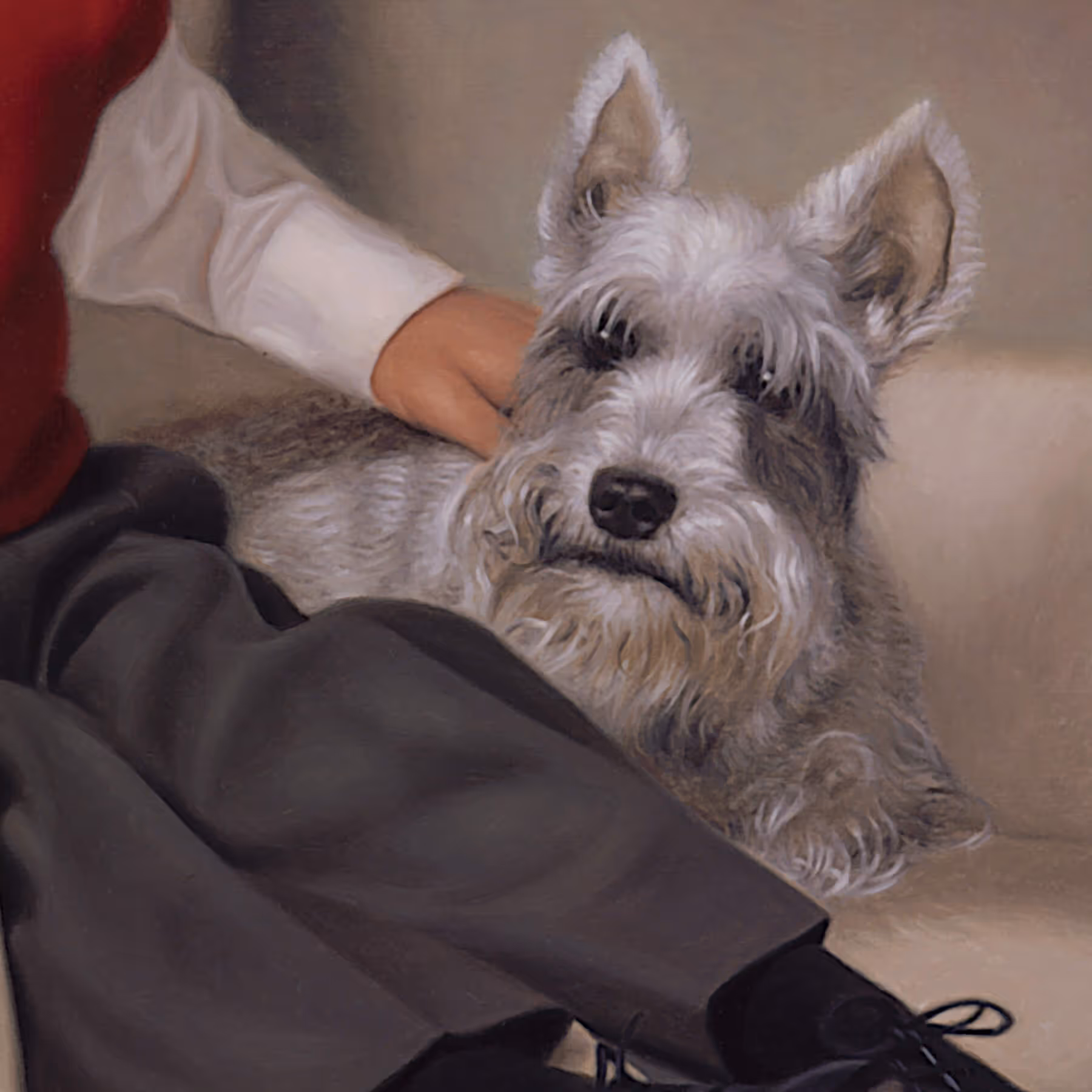 Detail of the family schnauzer beside Andrew showing textured fur and soft natural lighting.