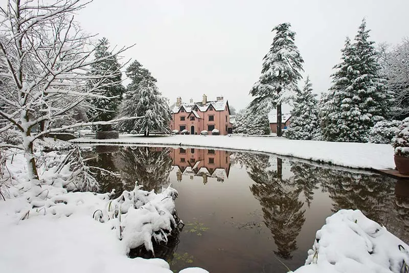 Pink house reflected in a still pond surrounded by snow-covered trees and ground.