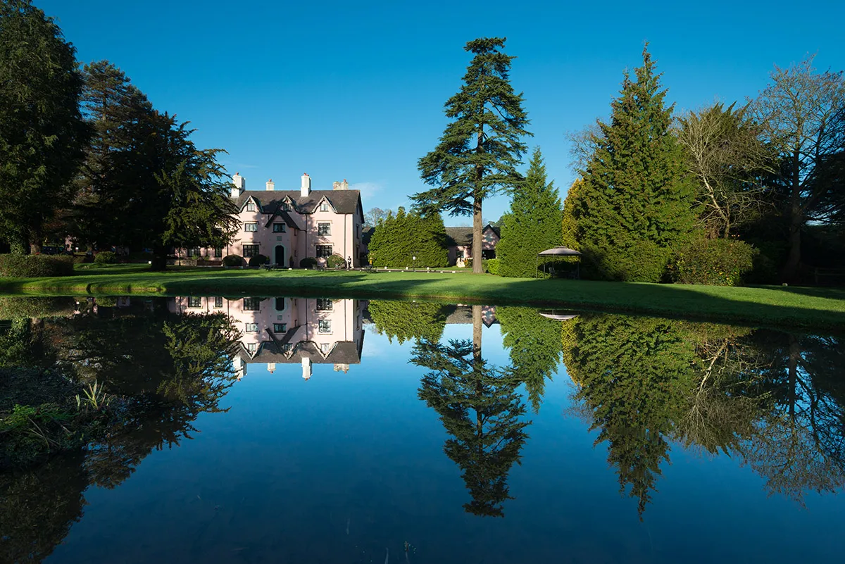 Pink house and tall trees reflected in a calm pond under a clear blue sky.