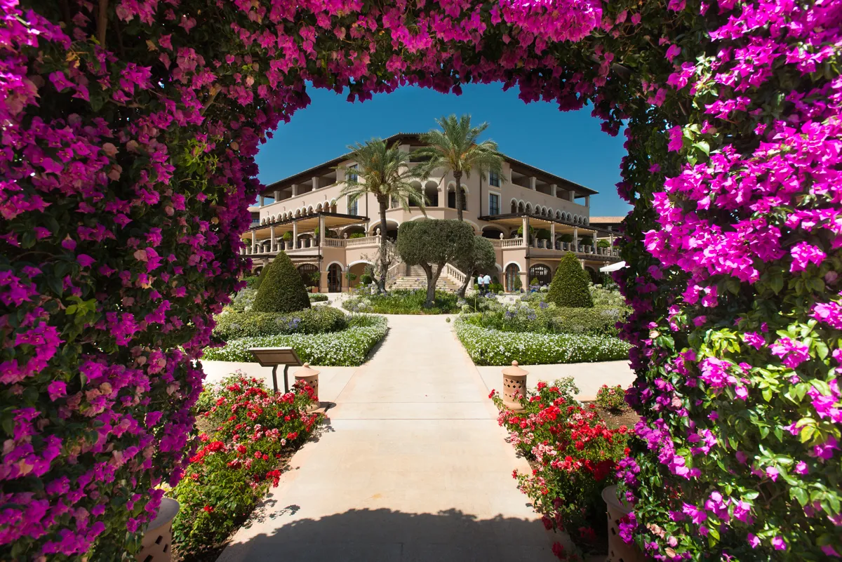 Elegant beige building with palm trees and manicured garden framed by vibrant pink bougainvillea arch.