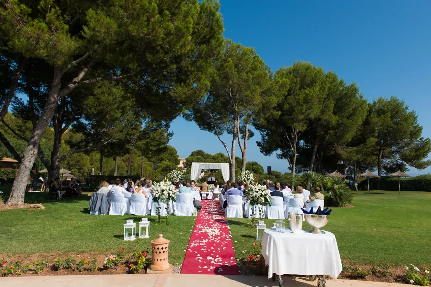 Outdoor wedding ceremony setup with white chairs lined along a red carpet scattered with white rose petals under green trees and a clear blue sky.