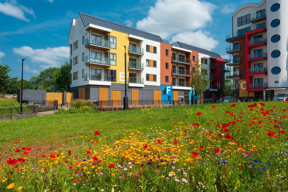 Colorful modern apartment buildings behind a green lawn with various wildflowers including red poppies under a blue sky with clouds.