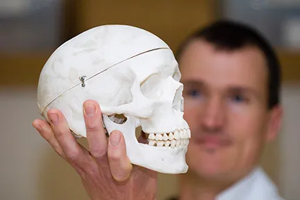 Man holding a white anatomical skull model in his hand.