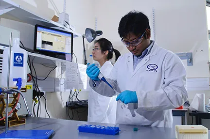 Two scientists wearing lab coats and safety glasses working with test tubes and pipettes in a laboratory.