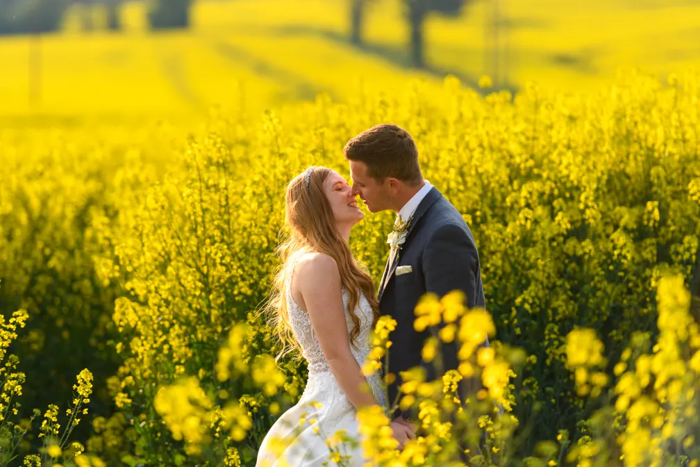 Bride & groom kissing in field of yellow oil seed at Mounton Brook Lodge Chepstow