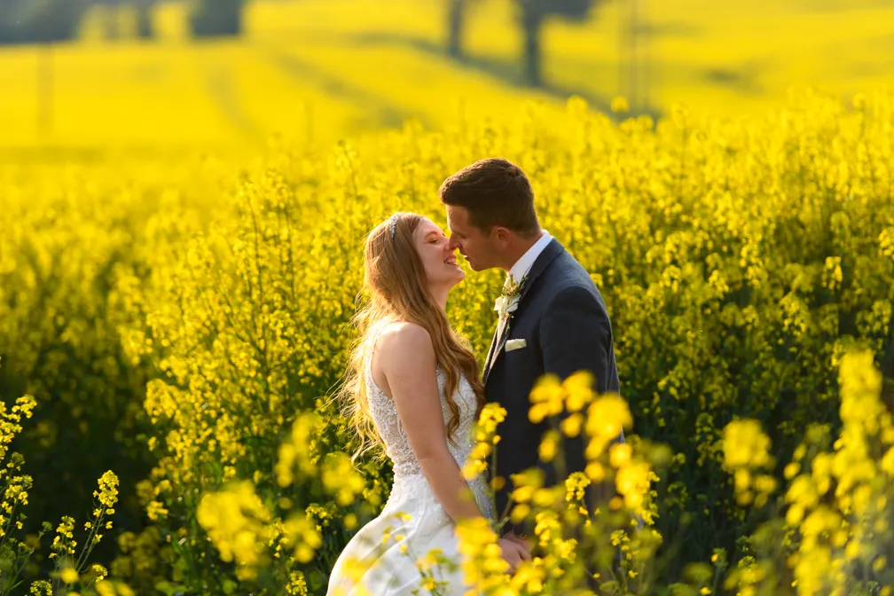 Bride and groom in wedding attire sharing a kiss in a field of bright yellow flowers.