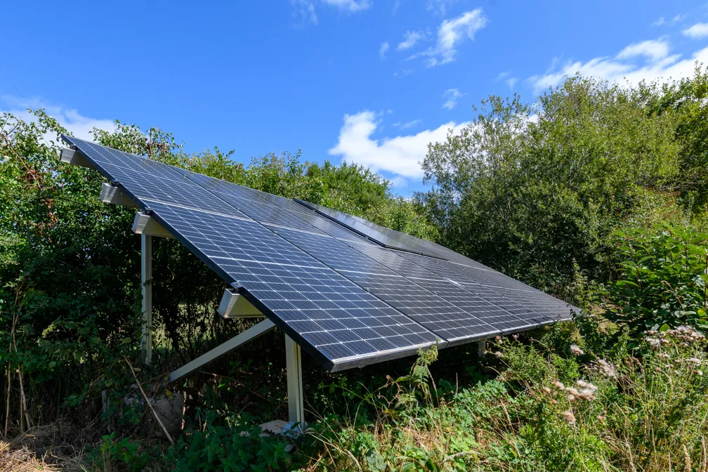 Ground-mounted solar panels surrounded by green shrubs and plants under a blue sky with some clouds.