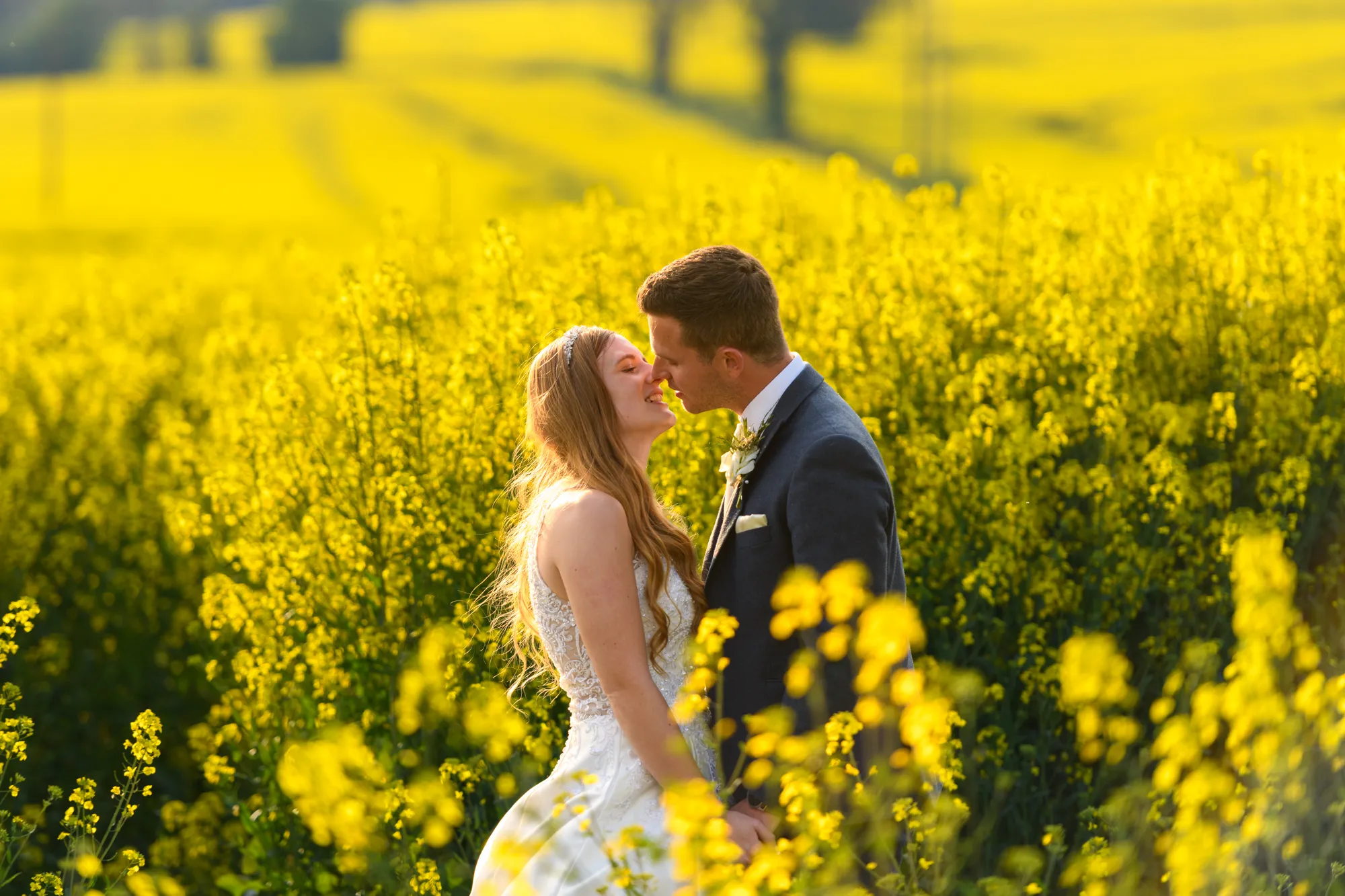 couple kissing mounton brook losge yellow rape fields