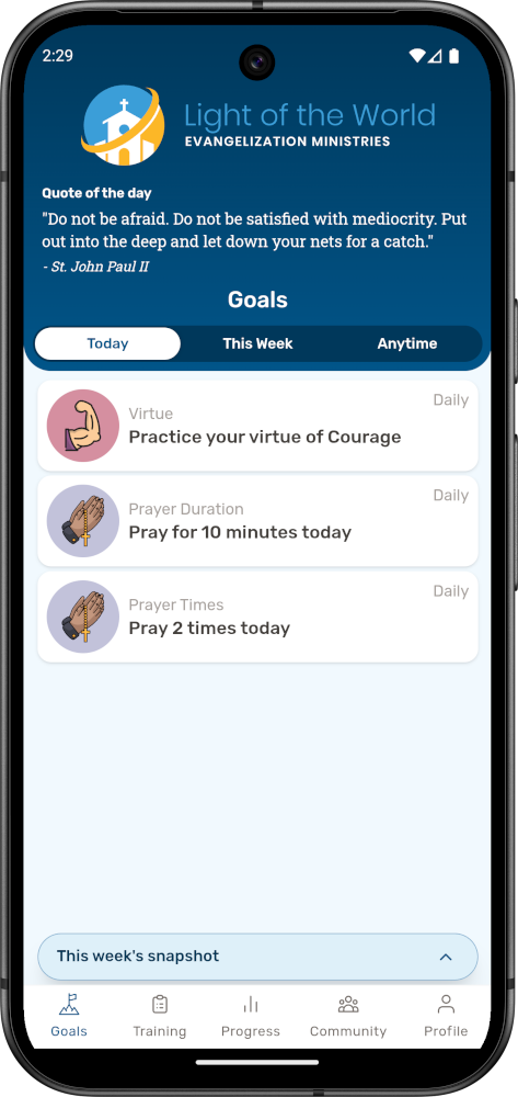 A screenshot of the Discipulus app's Goal screen