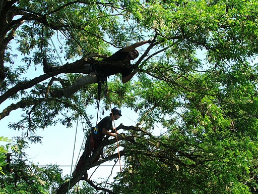 Crew performing crown raise