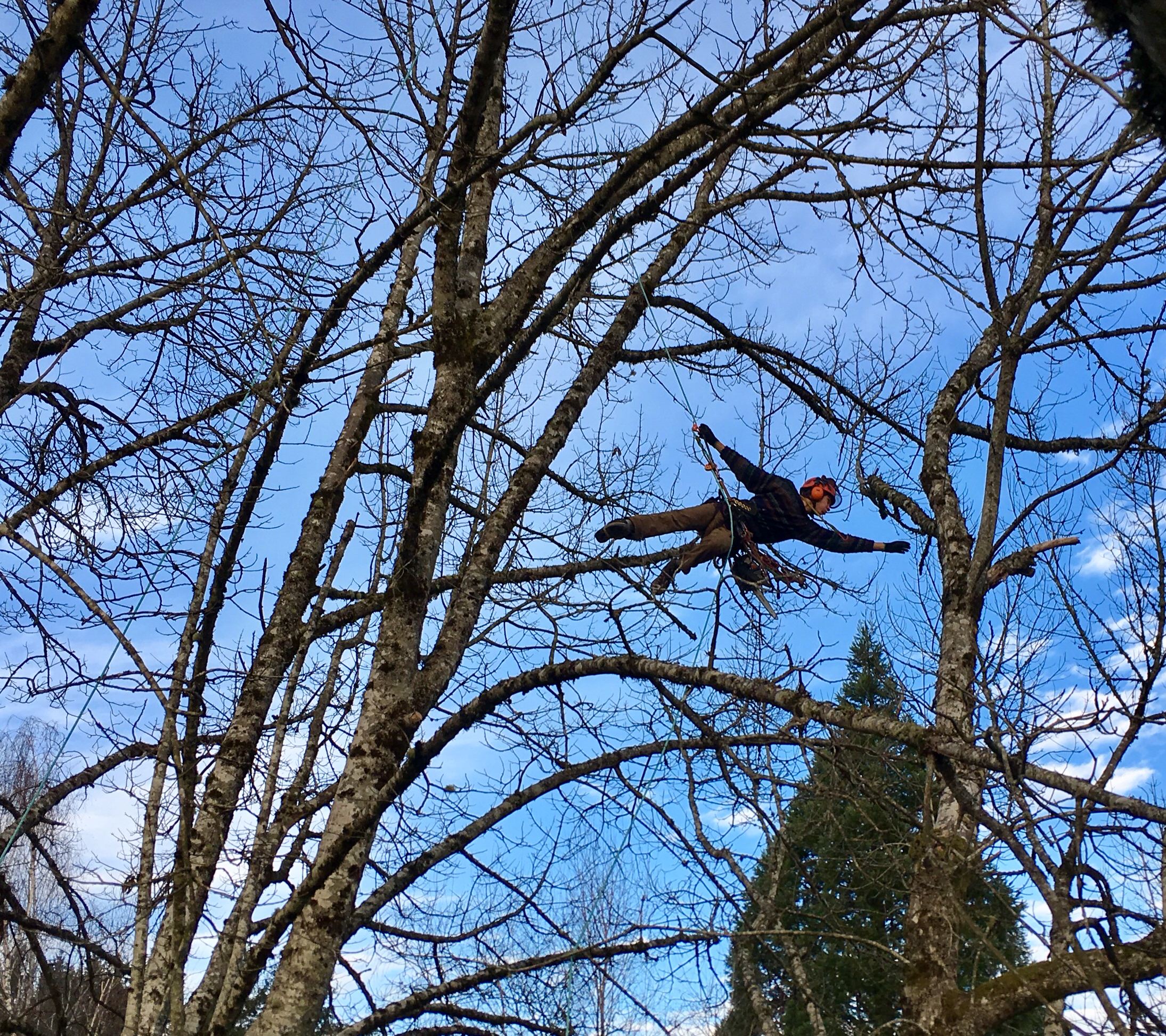 Strom Damage Clean Up