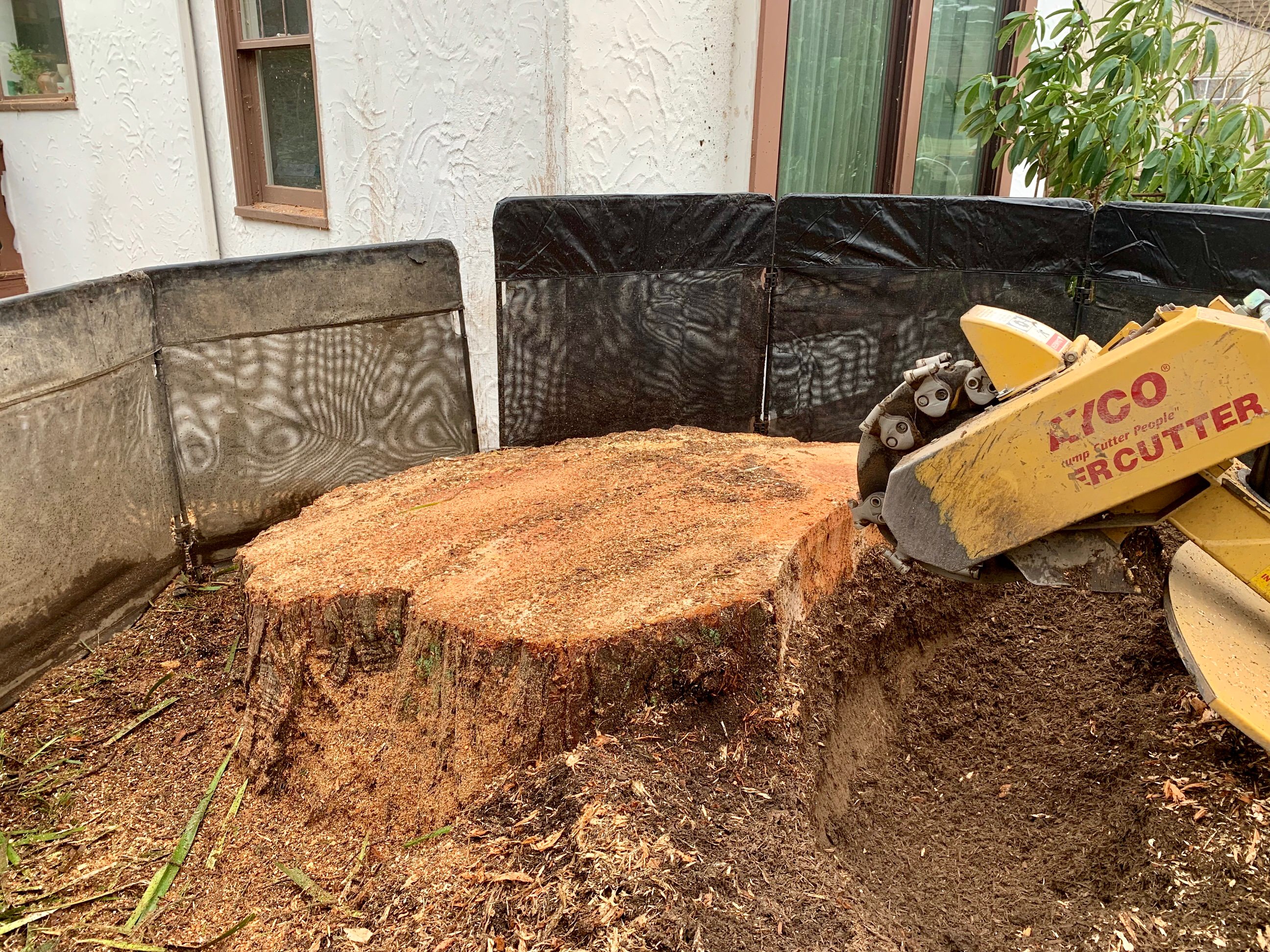 Strom Damage Clean Up