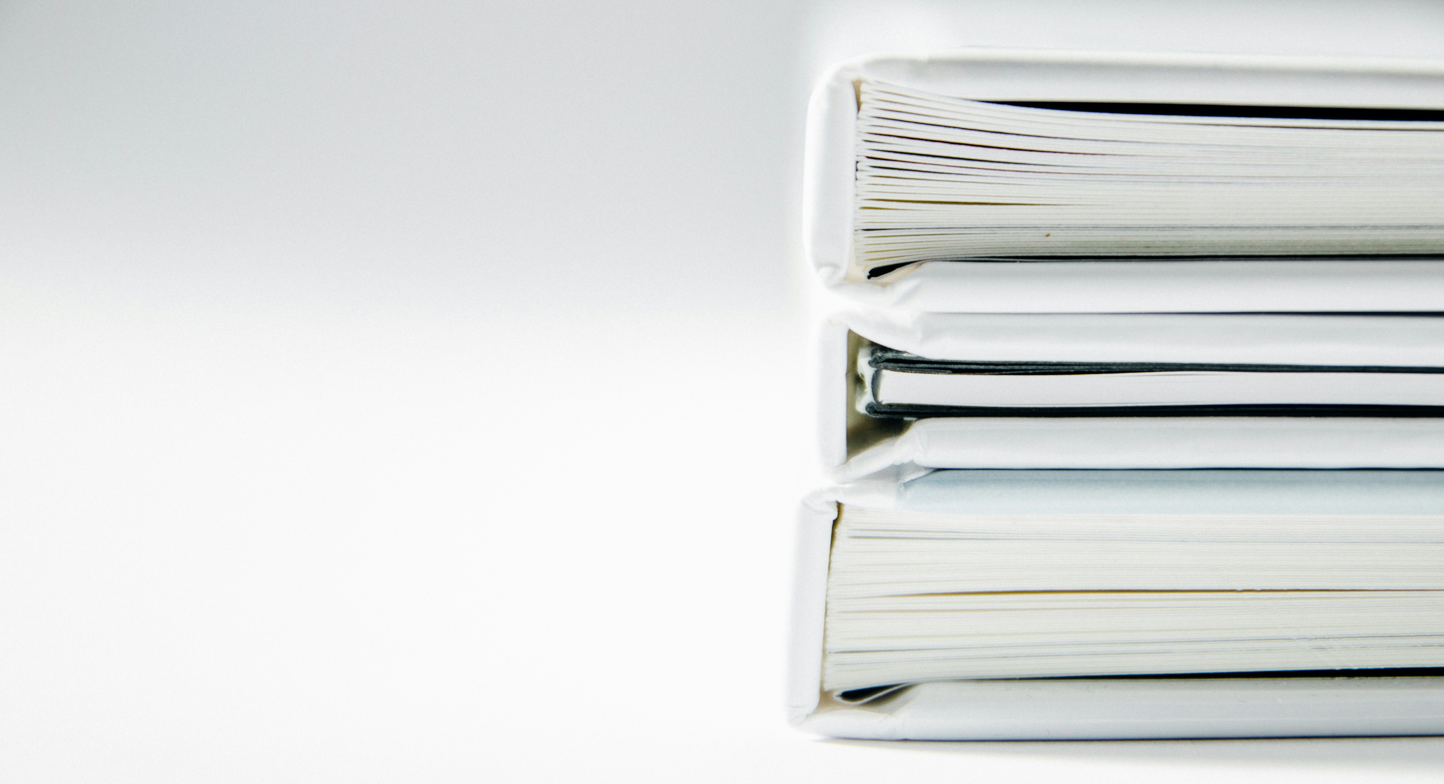 Interactive, password-protected PDF contract built for a Michigan marina's seasonal agreements