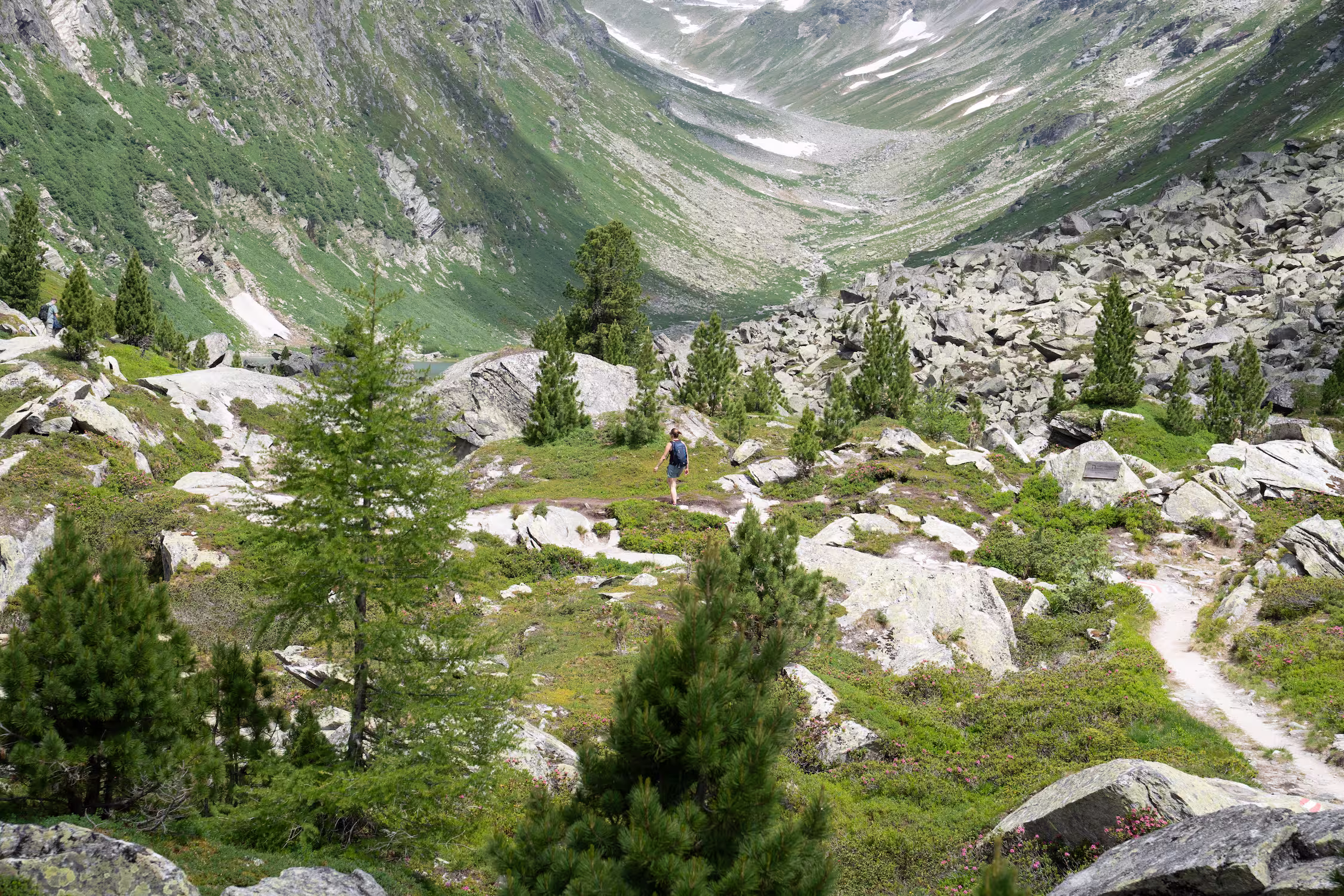 Mindfulness, Walking and Yoga at MoaAlm