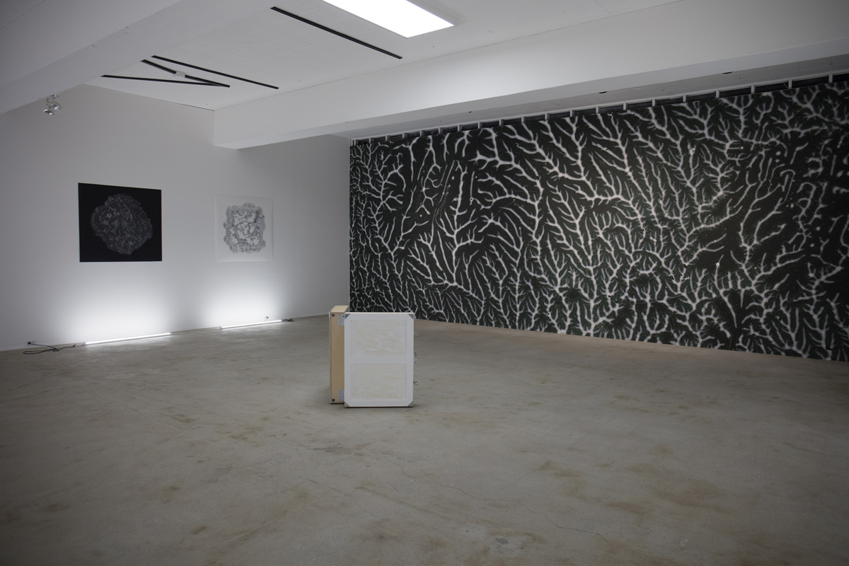 Dans l'ombre de l'artifice — Ianick Raymond et Laurent Lamarche