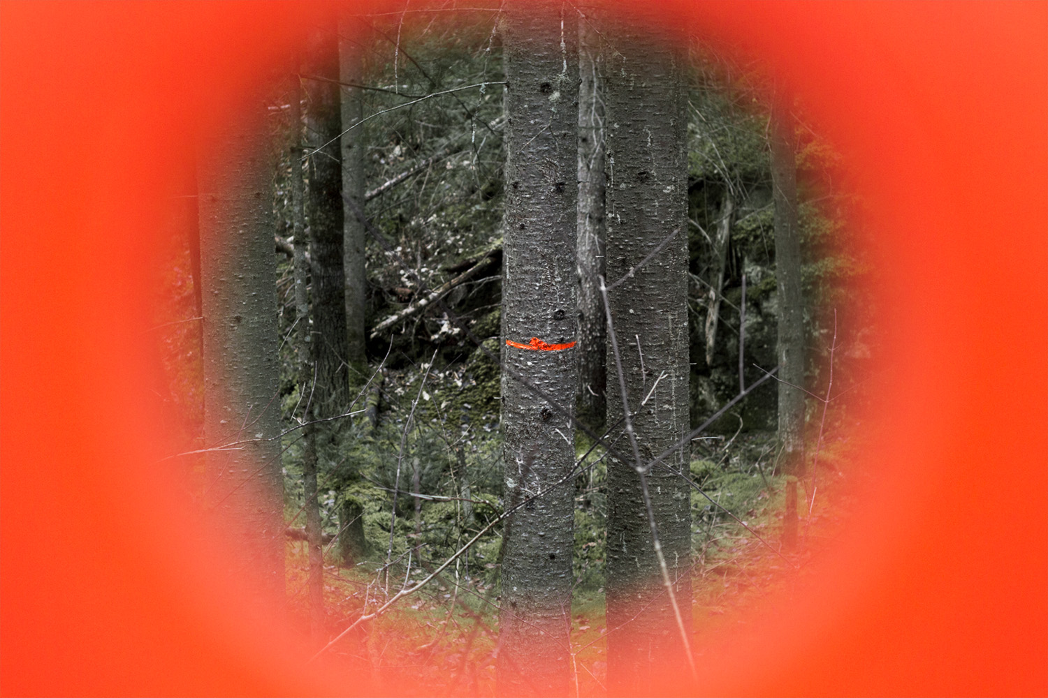 Club de prospection figurée