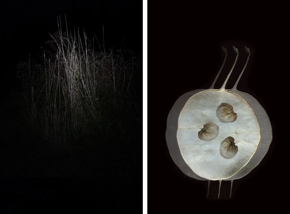 Mariane Tremblay et Fernande Forest