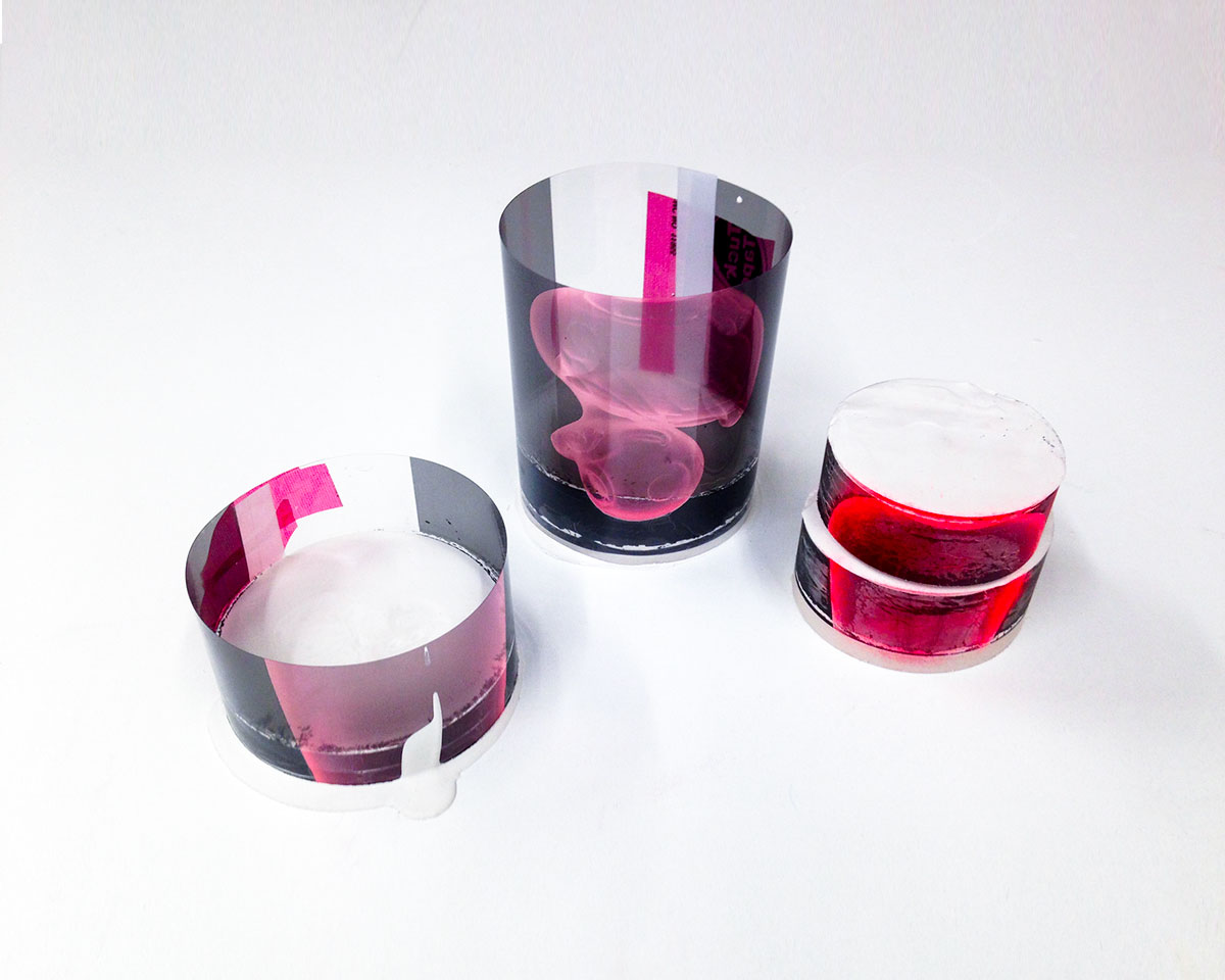 Andrée-Anne Carrier