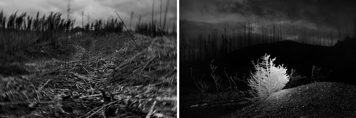 Nicolas Lévesque et Charles-Frédérick Ouellet