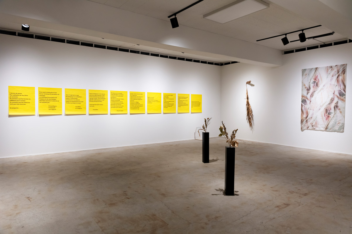 Raime encore — Ysé Raoux et Mathieu Lef Bouchard