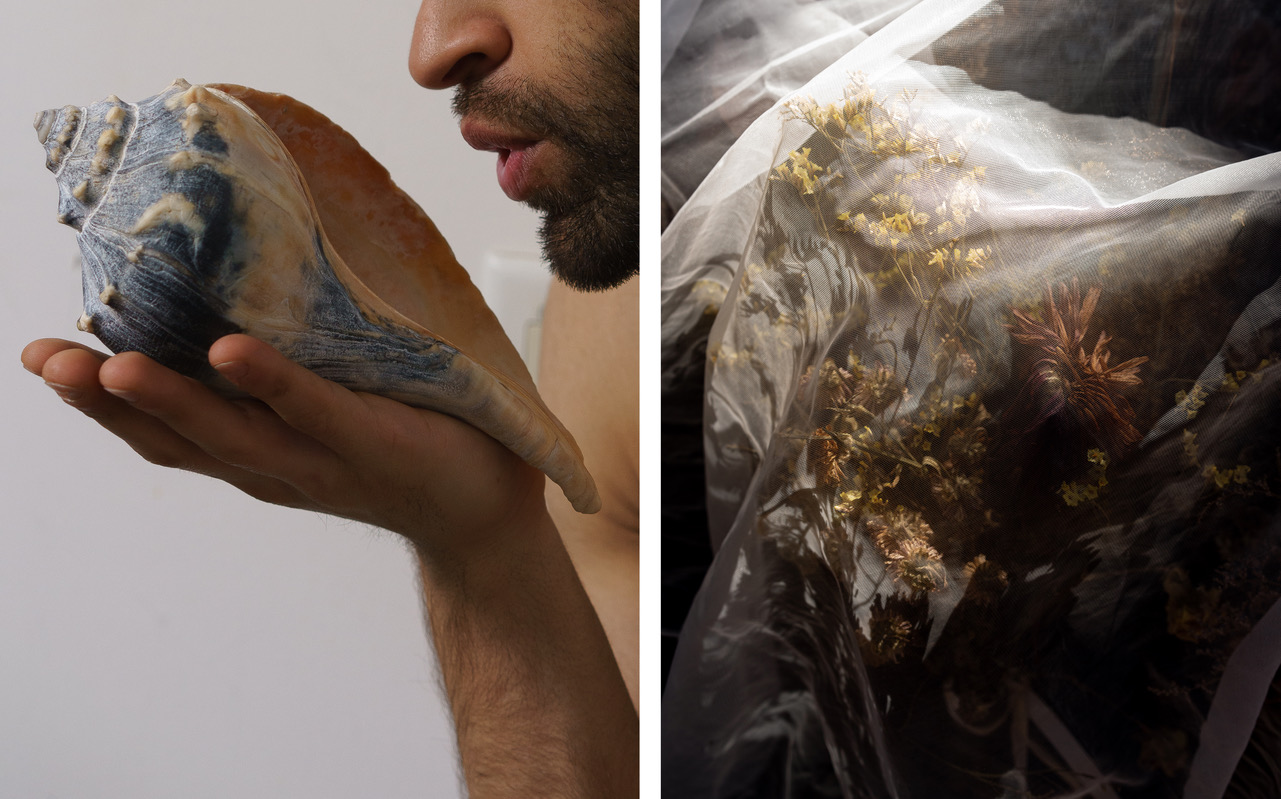 Charlotte Guirestante Ghomeshi