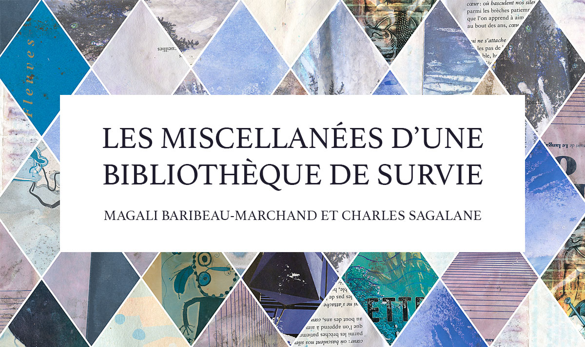 Les miscellanées d'une Bibliothèque de survie