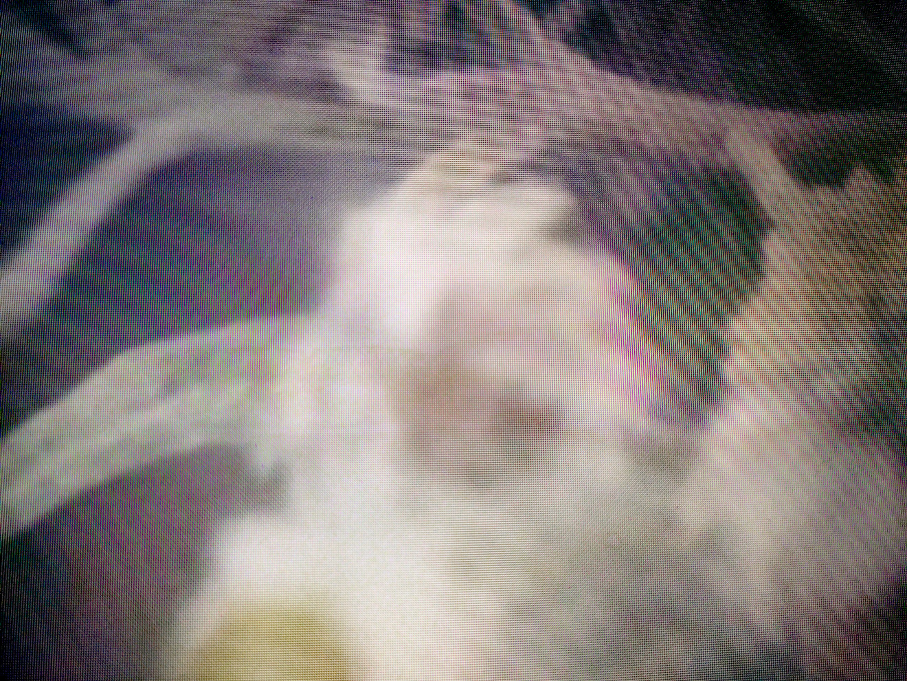 Magali Baribeau-Marchand