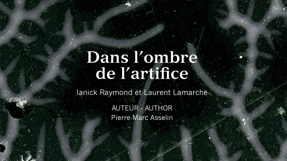 Dans l'ombre de l'artifice