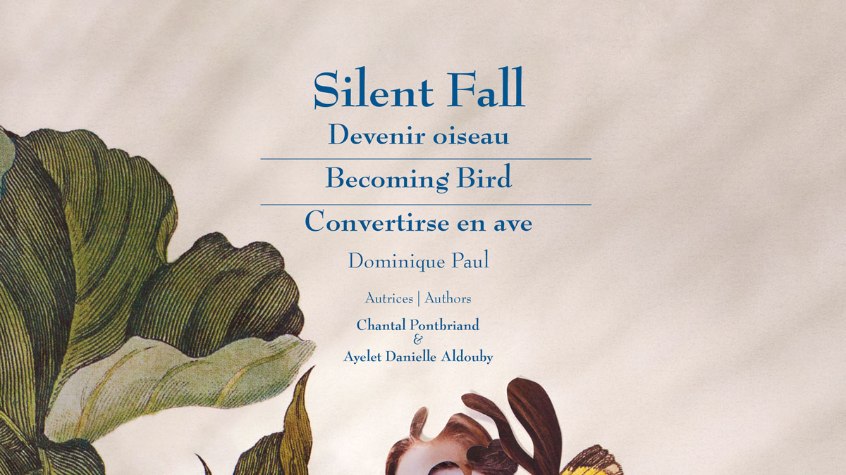 Silent Fall — Devenir oiseau / Becoming Bird / Convertirse en ave