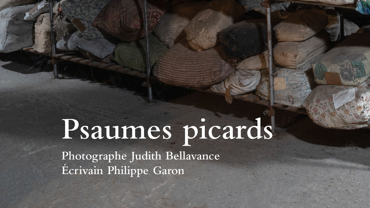 Psaumes picards / De l'imprévisibilité potentiellement mortelle de l'orignal