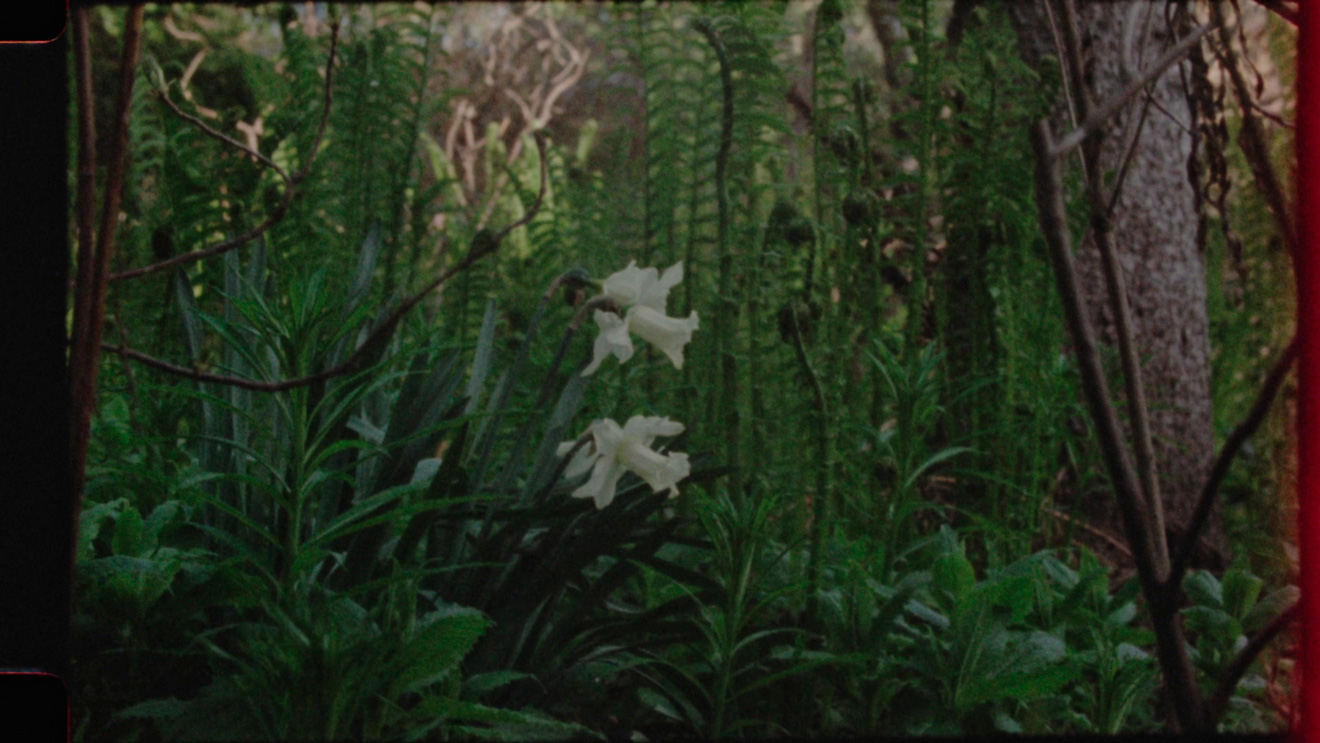 Geneviève Chevalier