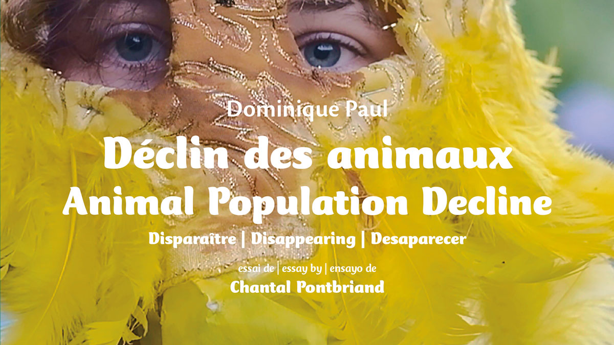 Animal Population Decline