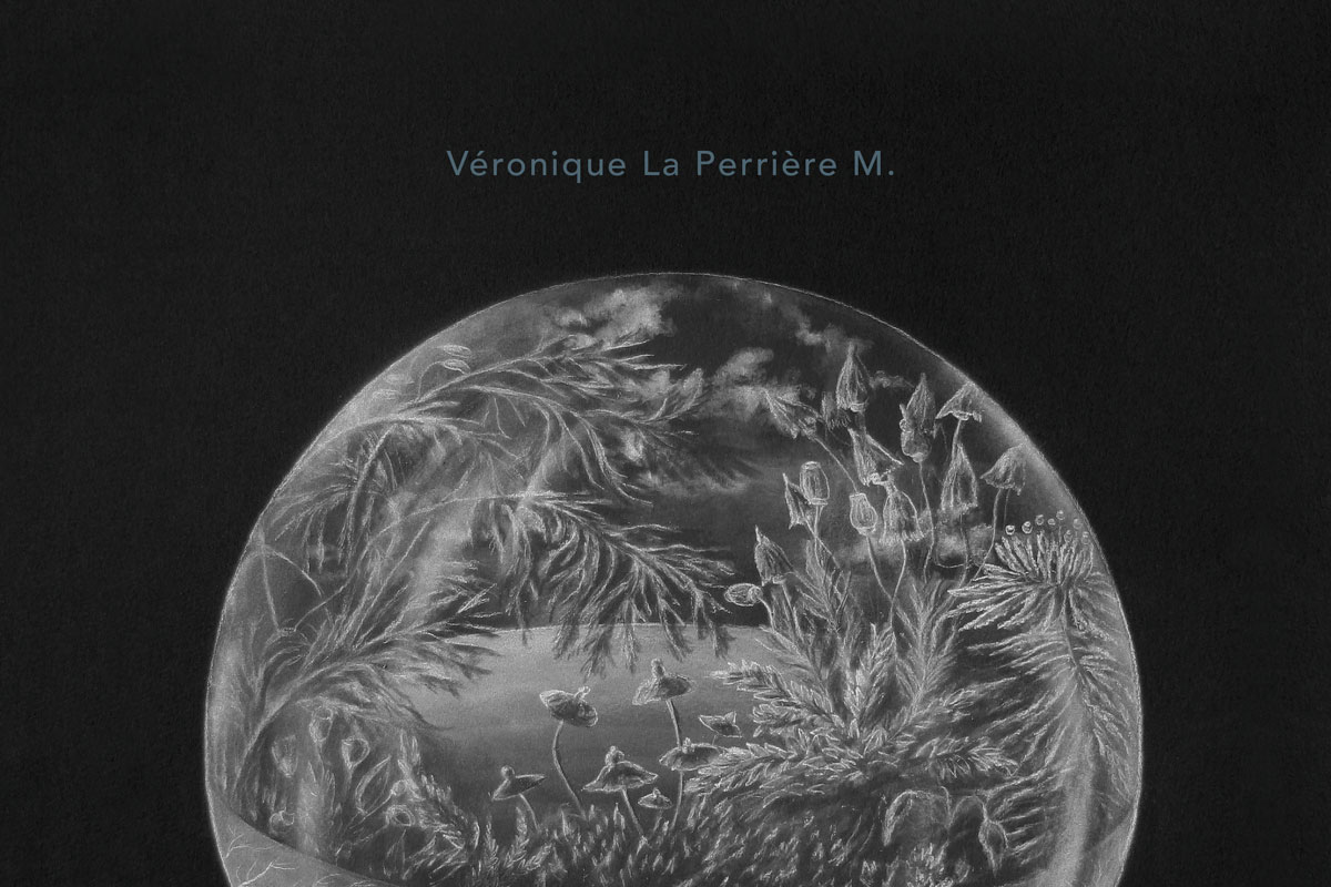 Miroirs, métamorphose et temps inversé