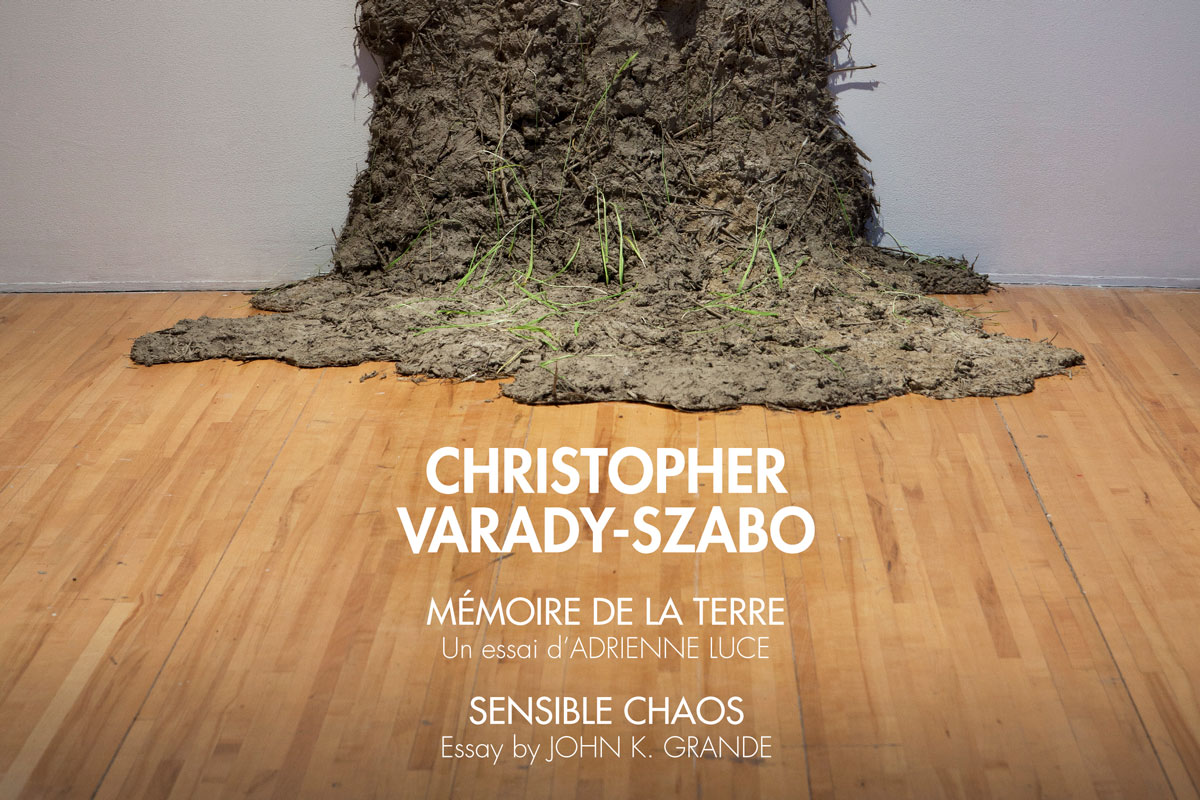 Mémoire de la terre, Sensible Chaos