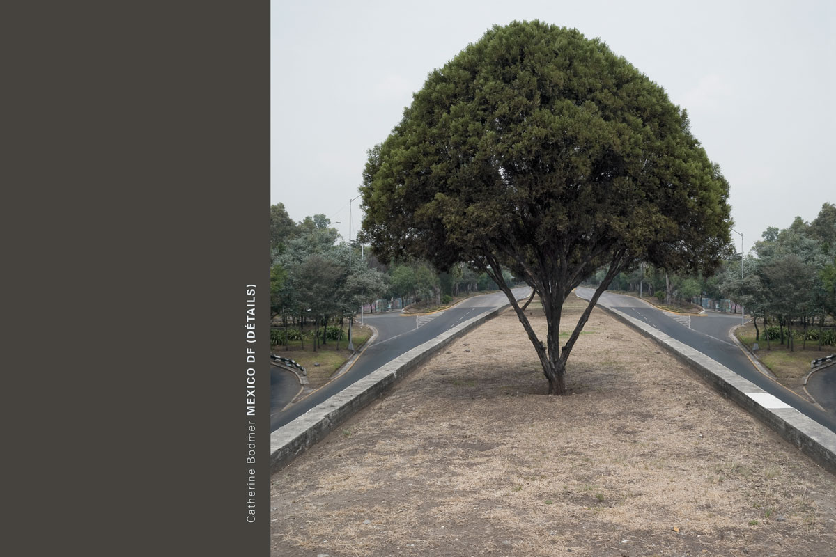 Mexico df (détails)