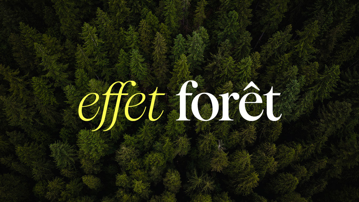 Effet forêt