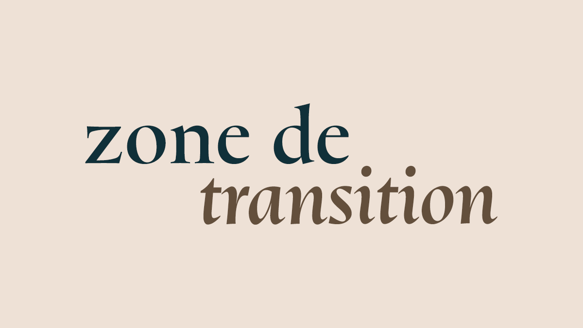 Zone de transition