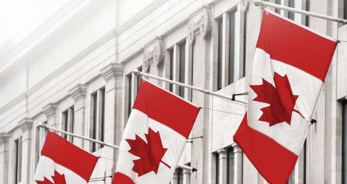 Your Guide to the Becoming an NRI in Canada” Guide
