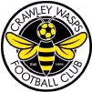 Crawley Wasps crest