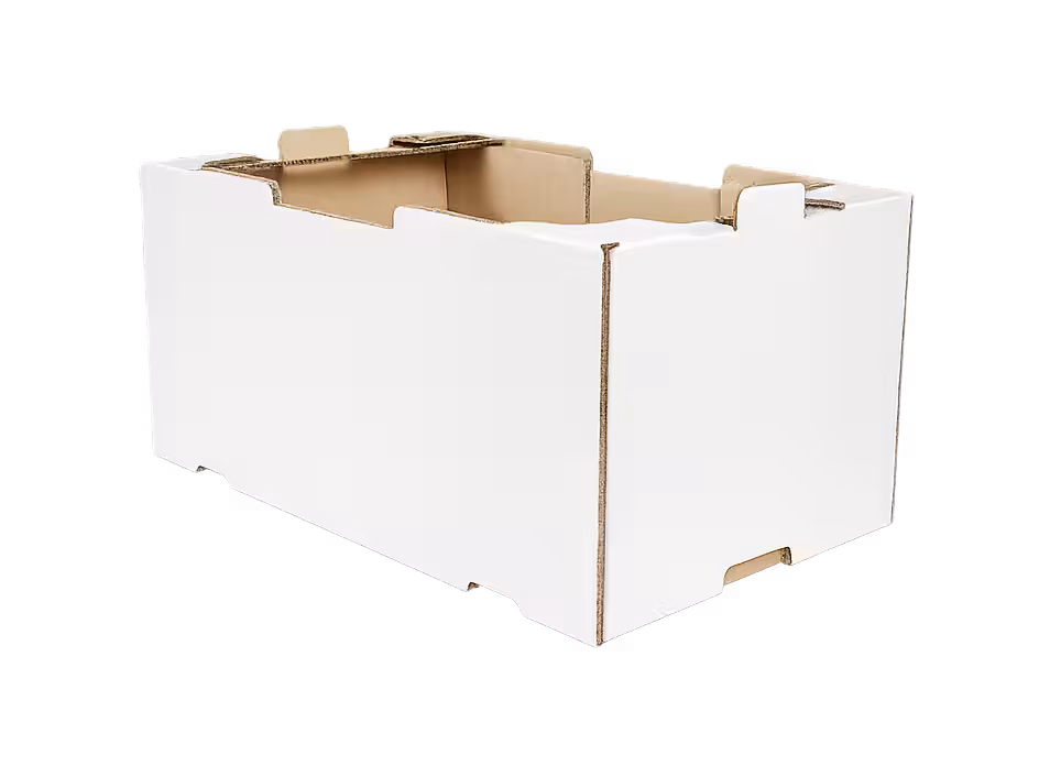 Kraft o blanco. Impresión según tu marca
