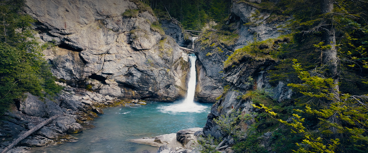 Project Thumbnail Hover