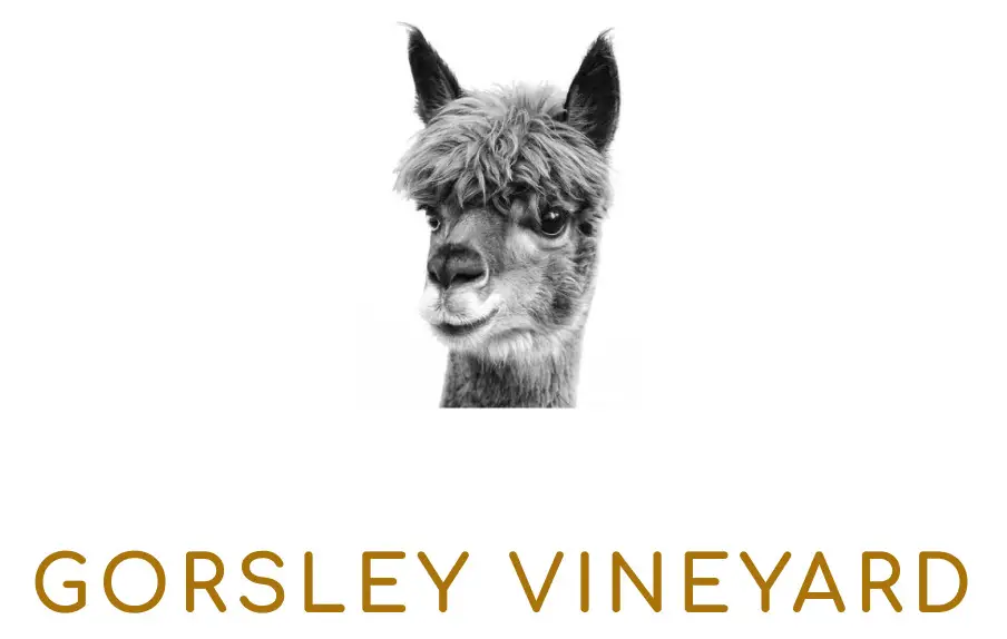 Gorsely vineyard