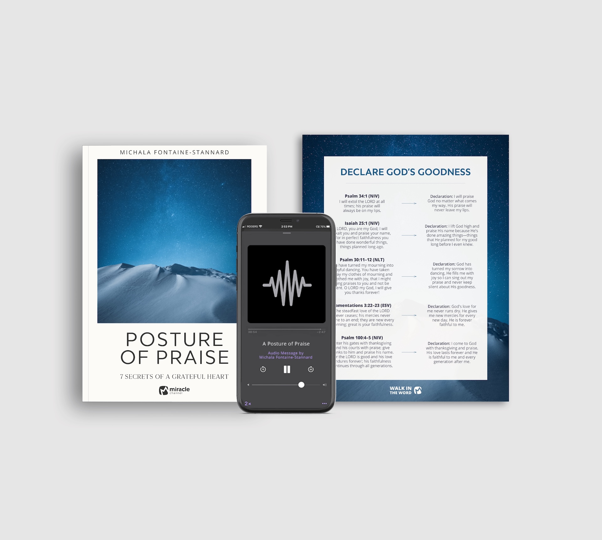 Praise Bible Study Bundle