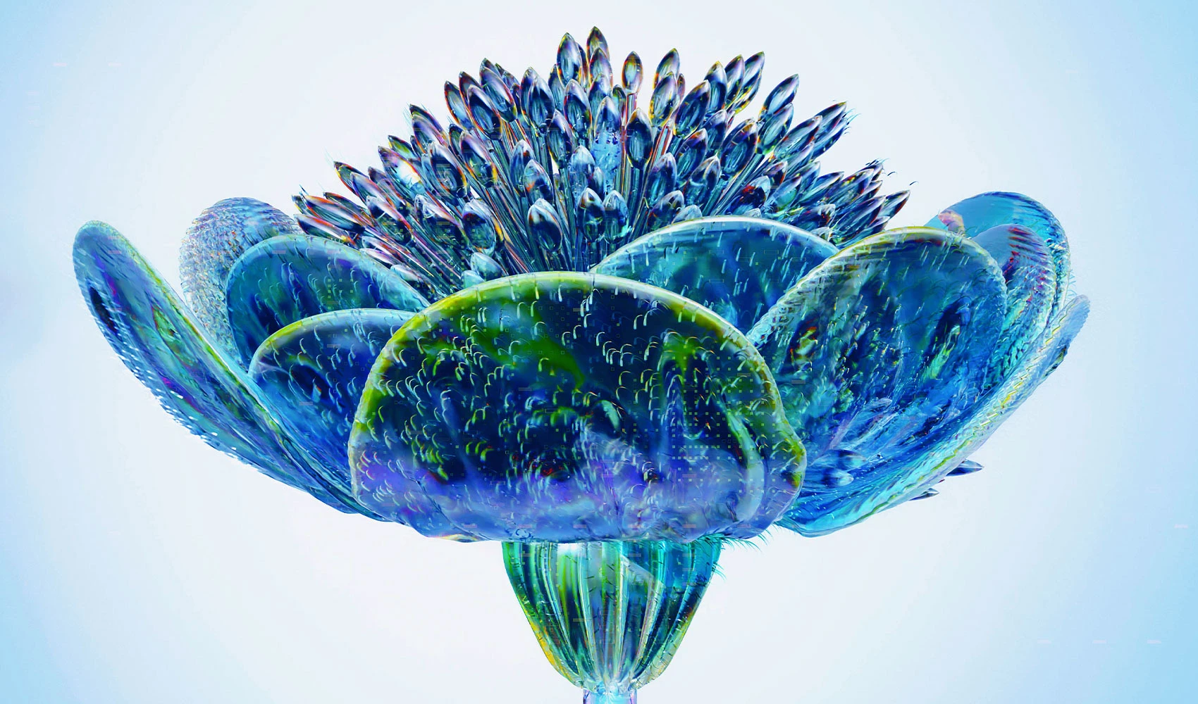 Biodiversity AI graphic