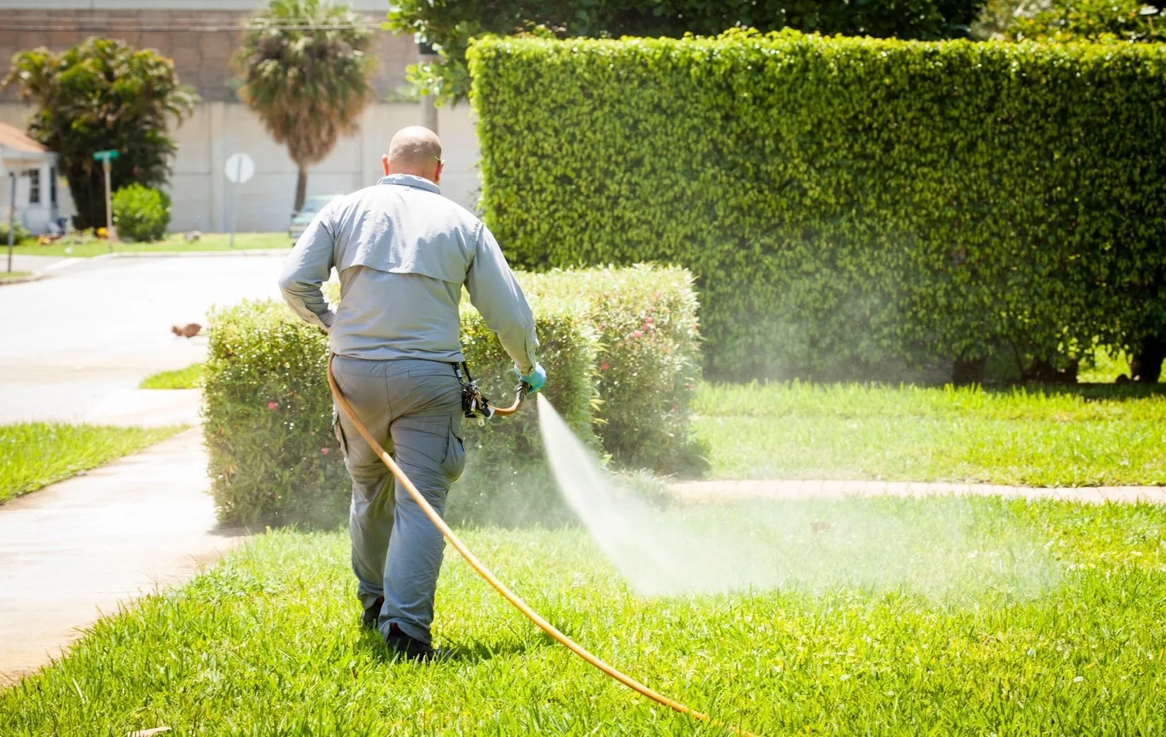 man spraying the grass in lawn