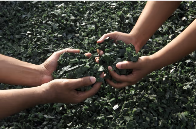 America Recycles Day