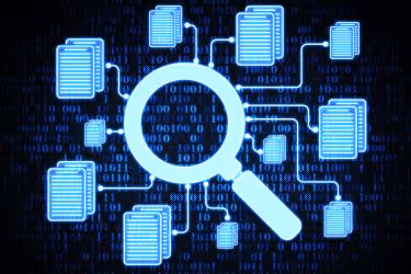 Data Audit