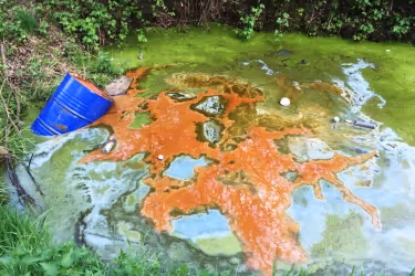 toxic chemicals in the water