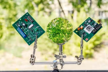 environmental chips