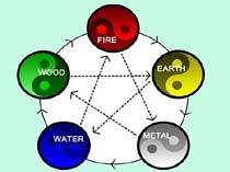 5 Element Chart